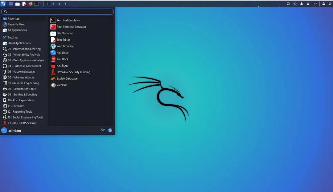 Kali Linux 黑客专用系统